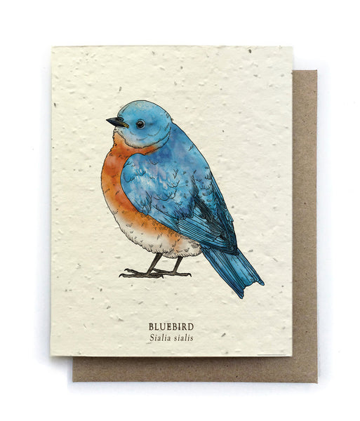 All Occasion Greeting Card by The Bower Studio