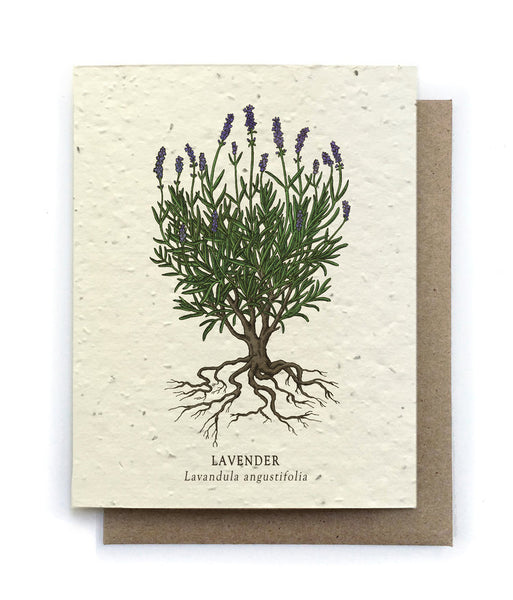 All Occasion Greeting Card by The Bower Studio